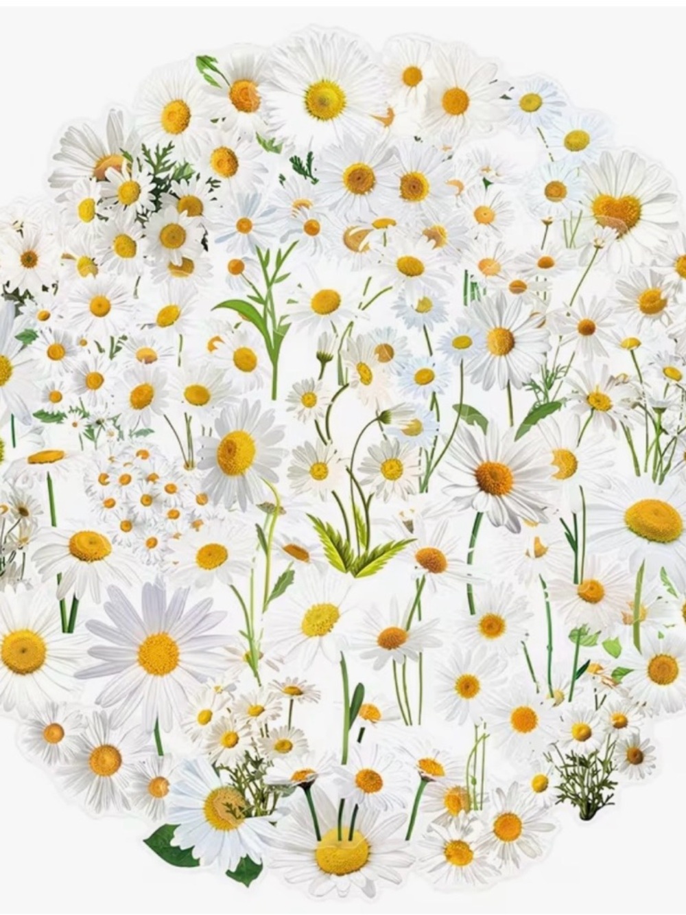 50 Daisy Flowers Stickers White & Yellow